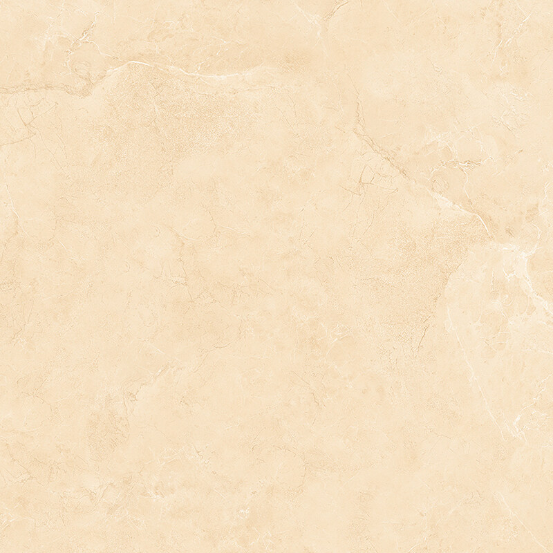 CK6Y113PA
