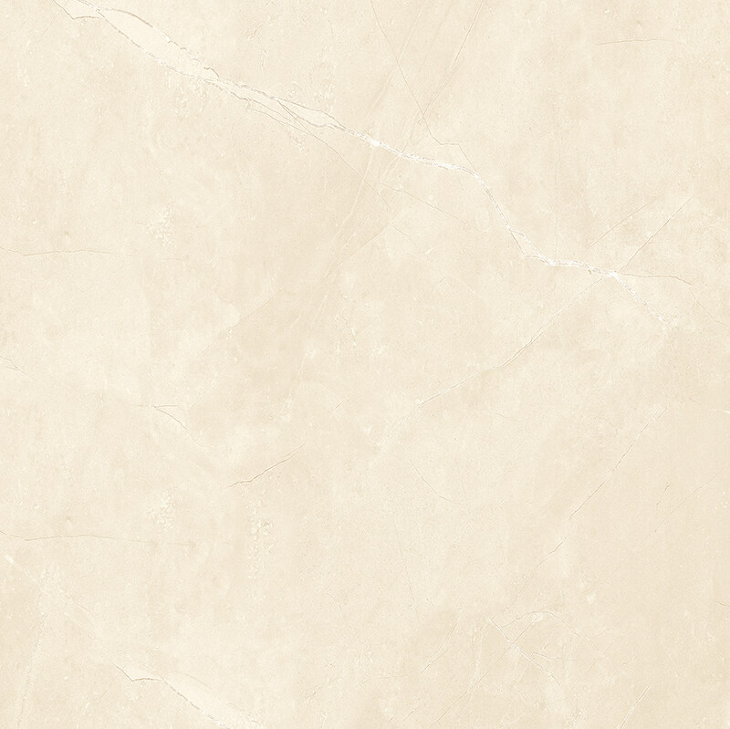 A60051