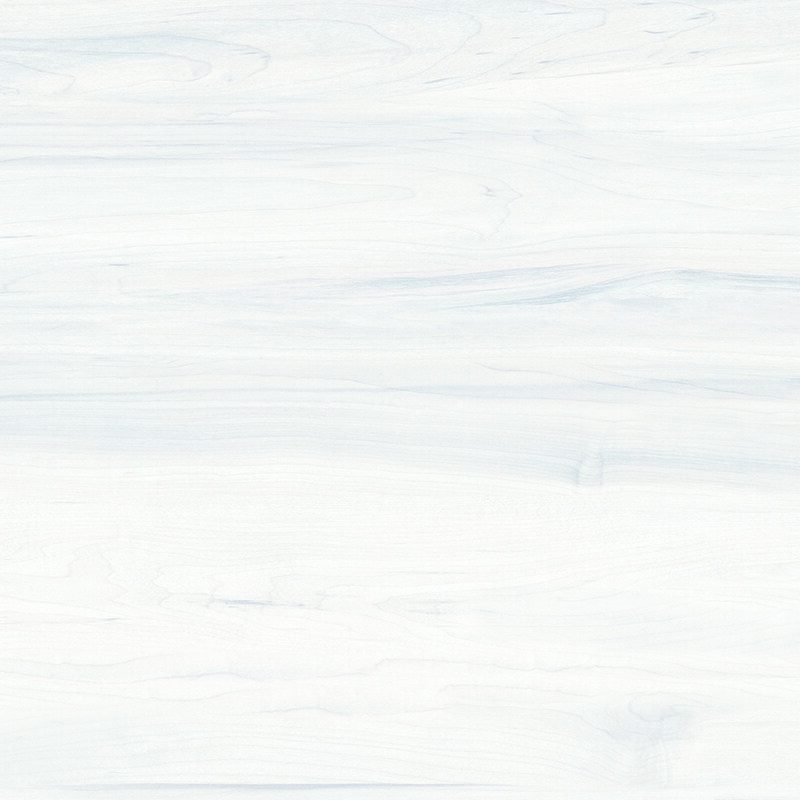 A60061