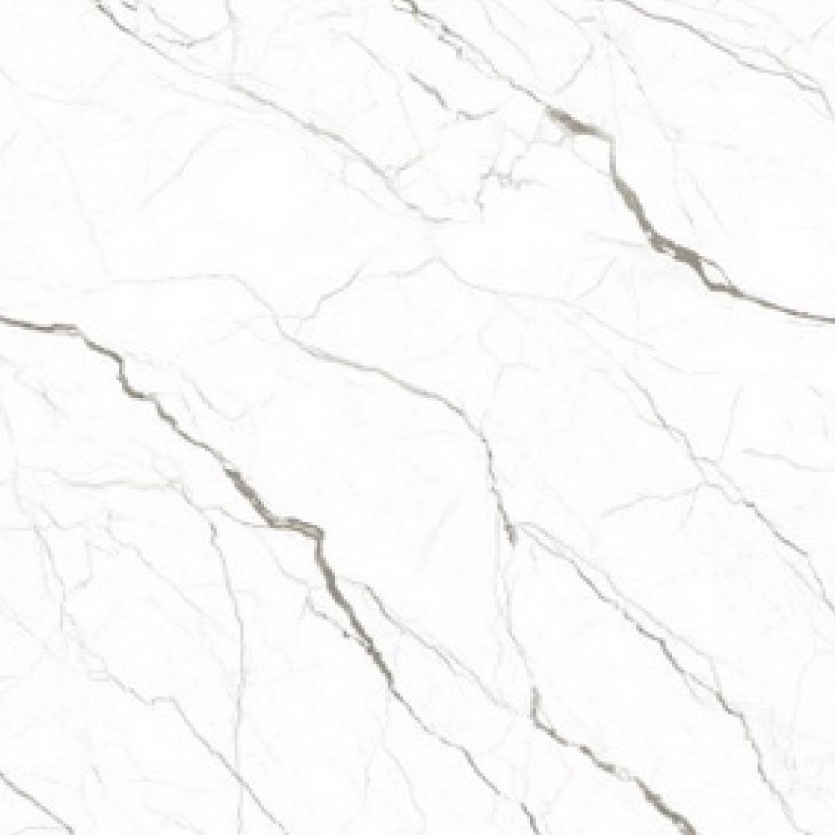 GLAZED-POLISHED-TILE-TG10050-light-10001000